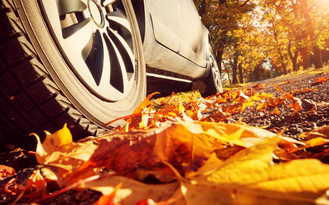 Are you Autumn Auto-Ready?